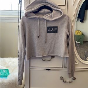 Abercrombie and Fitch Cropped Hoodie
